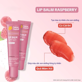 Son dưỡng môi chống nắng Cancer Council Raspberry Lip Balm SPF50+ (15g)