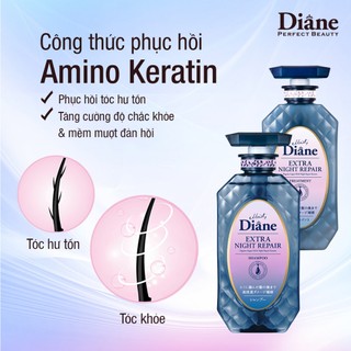 Dầu xả phục hồi chuyên sâu tóc hư tổn và ngăn ngừa lão hóa Moist Diane Extra Night Repair 450ml