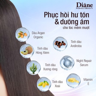 Dầu xả phục hồi chuyên sâu tóc hư tổn và ngăn ngừa lão hóa Moist Diane Extra Night Repair 450ml