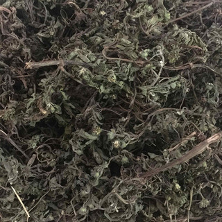 Cây Nhọ Nồi Thảo Dược Thiên Nhiên Hỗ Trợ Thanh Nhiệt, Cải Thiện Sức Khỏe Thương hiệu Lá Ngọc 1kg