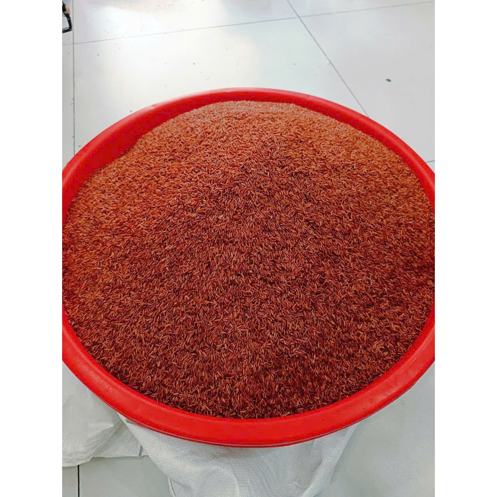 2kg Gạo Lứt Đỏ Thực Dưỡng - Loại 1 lúa 6 tháng - tốt cho người cần giảm cân, tiểu đường, tim mạch