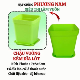 Combo 5 Chậu Nhựa Trồng Sen Đá Phương Nam, Trồng Tiểu Cảnh Mini, 7x8cm - Nhiều Màu
