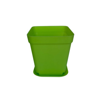 Combo 5 Chậu Nhựa Trồng Sen Đá Phương Nam, Trồng Tiểu Cảnh Mini, 7x8cm - Nhiều Màu