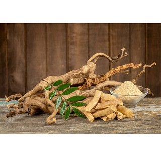 Rễ Mật Nhân Thương Hiệu Lá Ngọc Cải Thiện Sức Khỏe, Hỗ Trợ Sinh Lực Gói 1kg