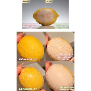 [Y312] Kem Lót RED EARTH V10 Energised Face Base - 50g, 15g - Trang Điểm Dưỡng Ẩm Làm Mềm Da - Che Phủ Lỗ Chân Lông