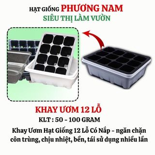 Khay Chuyên Dùng Ươm Hạt Giống 12 Lỗ Phương Nam
