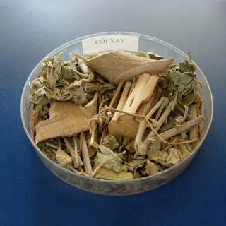 Cây Cối Xay Khô Lá Ngọc Hỗ Trợ Thải Độc, Thanh Nhiệt Cơ Thể Gói 500g
