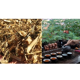 Cây Tầm Bóp Khô Lá Ngọc Thanh Nhiệt Cơ Thể, Hỗ Trợ Sức Khỏe Gói 500g