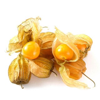Cây Tầm Bóp Khô Lá Ngọc Thanh Nhiệt Cơ Thể, Hỗ Trợ Sức Khỏe Gói 500g