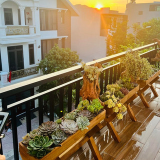Chậu gỗ trồng cây trang trí ban công sân vườn ngoài trời phong cách cổ điển bền bỉ và đẹp mắt, Chậu cây cảnh ban công