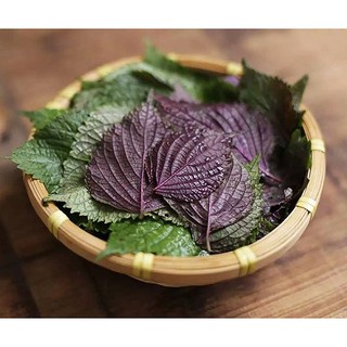 Cây Tía Tô Khô Thượng Hạng Hỗ Trợ Sức Khỏe Toàn Diện Thương Hiệu Lá Ngọc Gói 1kg