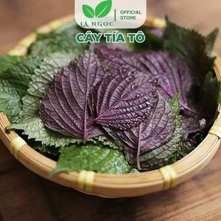 Cây Tía Tô Khô Thượng Hạng Hỗ Trợ Sức Khỏe Toàn Diện Thương Hiệu Lá Ngọc Gói 1kg