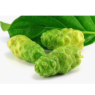 Trái Nhàu Khô Lá Ngọc Hỗ Trợ Sức Khỏe Toàn Diện Gói 500g