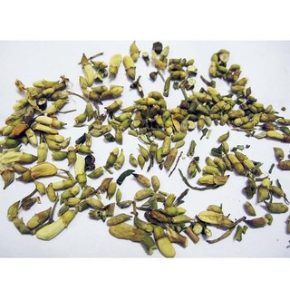Nụ Hoa Hòe Khô Hỗ Trợ Sức Khỏe Tim Mạch, Thanh Nhiệt Cơ Thể