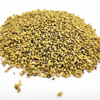 Nụ Hoa Hòe Khô Hỗ Trợ Sức Khỏe Tim Mạch, Thanh Nhiệt Cơ Thể