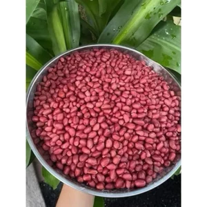Lạc đỏ quê, lạc mới