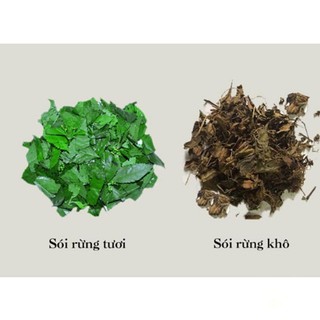 Cây Sói Rừng Khô Hỗ Trợ Xương Khớp, Thanh Nhiệt, Tăng Cường Sức Khỏe Lá Ngọc Gói 1kg