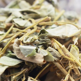 Kim Tiền Thảo Hỗ Trợ Sỏi Thận, Thanh Nhiệt, Giải Độc Thương Hiệu Lá Ngọc Gói 500g