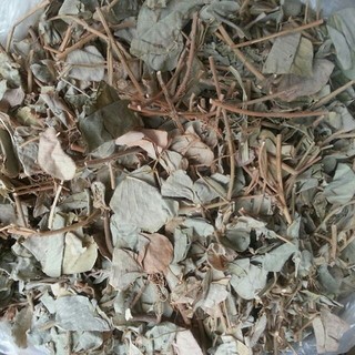 Kim Tiền Thảo Hỗ Trợ Sỏi Thận, Thanh Nhiệt, Giải Độc Thương Hiệu Lá Ngọc Gói 500g
