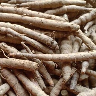 Sâm Cau Đen Khô Lá Ngọc Thảo Dược Hỗ Trợ Sinh Lực, Cải Thiện Sức Khỏe Gói 1kg