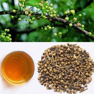 Nụ Vối Khô Lá Ngọc Hỗ Trợ Tiêu Hóa, Thanh Nhiệt, Cải Thiện Sức Khỏe Gói 500g
