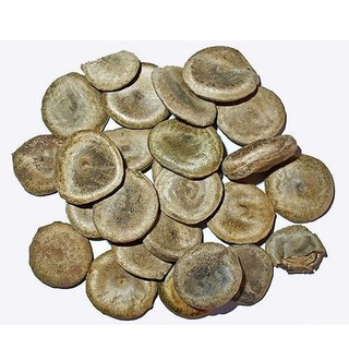 Hạt Mã Tiền Hỗ Trợ Xương Khớp, Cải Thiện Sức Khỏe