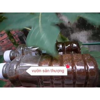 [nhà ủ] phân đỗ tương+nha đam+ dịch chuối 350ml