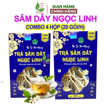 Combo 4 hộp trà sâm dây ngọc linh Bảo Khang, trà túi lọc, sâm dây ngọc linh khô