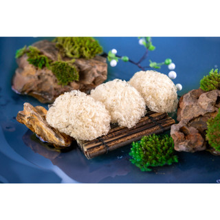 [Yến Tinh Chế] Sợi Ngắn - Dùng Thử - Yến Sào Nguyên Chất - Giữ Nguyên Giá Trị Dinh Dưỡng