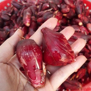 Sâm Đại Hành Khô Lá Ngọc Hỗ Trợ Sức Khỏe, Thanh Lọc Cơ Thể Gói 500g