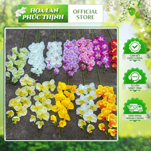 COMBO 10 Cành Lan Hồ Điệp Dài 9 Bông 💥HÀNG CAO CẤP💥 Hoa Lan Vải Lụa Mềm Mịn, Nhiều Màu Trang Trí Phòng Khách, Văn Phòng