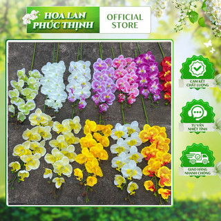 COMBO 10 Cành Lan Hồ Điệp Dài 9 Bông 💥HÀNG CAO CẤP💥 Hoa Lan Vải Lụa Mềm Mịn, Nhiều Màu Trang Trí Phòng Khách, Văn Phòng