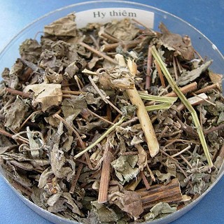 Cây Hy Thiêm Khô Lá Ngọc Hỗ Trợ Xương Khớp, Thanh Lọc Cơ Thể Gói 500g