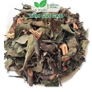 Tầm Gửi Gạo Khô Lá Ngọc Hỗ Trợ Xương Khớp, Thanh Lọc Cơ Thể Gói 500g
