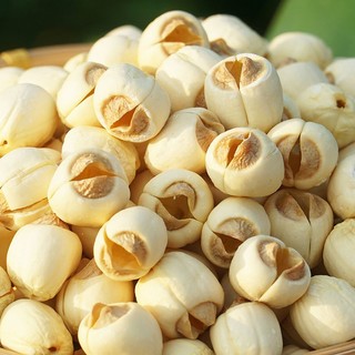 Hạt Sen Khô Thơm Bùi, Dinh Dưỡng, Tiện Lợi