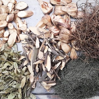 Cây Muối Khô Lá Ngọc Hỗ Trợ Thanh Lọc Cơ Thể, Tốt Cho Xương Khớp Gói 500g