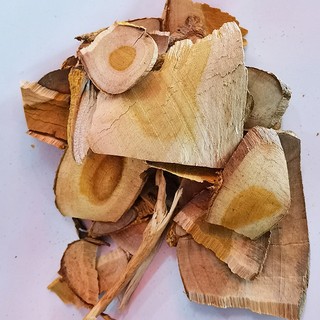 Cây Muối Khô Lá Ngọc Hỗ Trợ Thanh Lọc Cơ Thể, Tốt Cho Xương Khớp Gói 500g