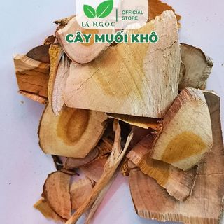 Cây Muối Khô Lá Ngọc Hỗ Trợ Thanh Lọc Cơ Thể, Tốt Cho Xương Khớp Gói 500g