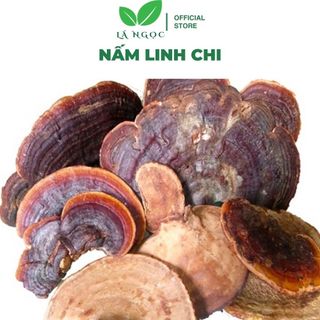 Nấm Linh Chi Khô Lá Ngọc Loại Thượng Hạng Gói 500g
