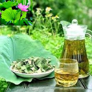 Lá Sen Khô Lá Ngọc Hỗ Trợ Giảm Cân, Thanh Nhiệt Gói 1kg