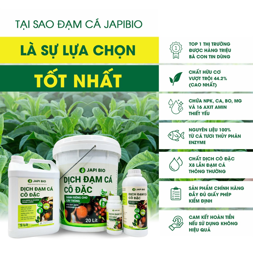 Combo 2 chai đạm cá hữu cơ JapiBio 1L – Dưỡng cây ăn trái, tăng năng suất, cải tạo đất hiệu quả