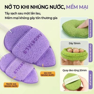 Bộ sản phẩm 3 miếng bông mút bọt biển rửa mặt AMORTALS Chính Hãng/ mút rửa mặt amortals