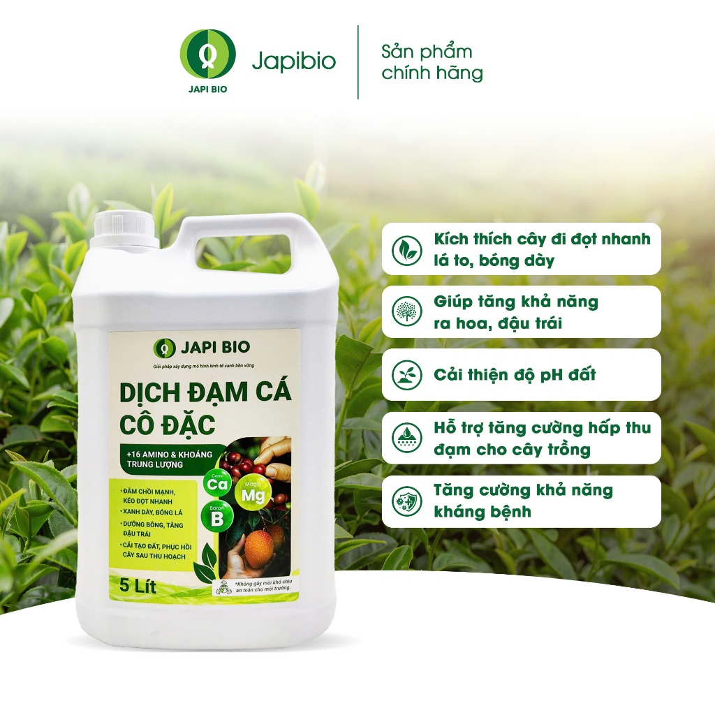 Combo 4 can đạm cá hữu cơ JapiBio 5L – Nuôi trái lớn nhanh, tiết kiệm chi phí, phủ vườn công nghiệp