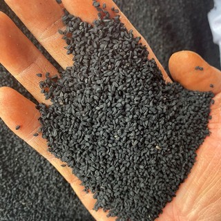 Hạt Hẹ Khô Lá Ngọc Hỗ Trợ Tiêu Hóa, Giải Nhiệt, Cải Thiện Sức Khỏe Gói 500g