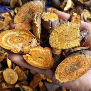 Cốt Khí Củ Lá Ngọc Hỗ Trợ Cải Thiện Sức Khỏe, Tăng Cường Khí Lực, Giảm Mệt Mỏi Gói 500g