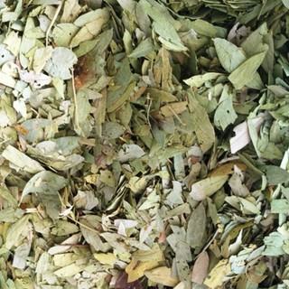Lá Phan Tả Diệp Hỗ Trợ Tiêu Hóa, Giải Nhiệt, Thanh Lọc Cơ Thể Gói 500g