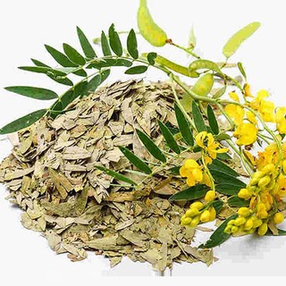 Lá Phan Tả Diệp Hỗ Trợ Tiêu Hóa, Giải Nhiệt, Thanh Lọc Cơ Thể Gói 500g
