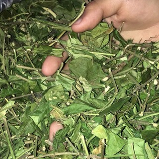 Dây Thìa Canh Khô Lá Ngọc Hỗ Trợ Cân Bằng Đường Huyết, Giảm Cân, Giải Nhiệt Gói 1kg