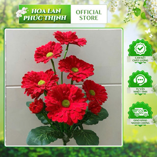 Cúc đồng tiền 50 cm #hoa _đồng_ tiền_giả_ trang_trí #hoa_trang_trí