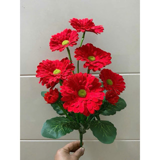 Cúc đồng tiền 50 cm #hoa _đồng_ tiền_giả_ trang_trí #hoa_trang_trí